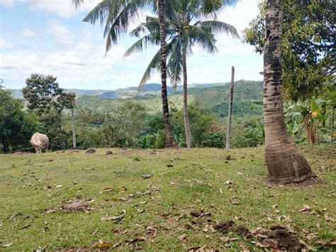 Agricultural Lot For Sale in Antipolo, Rizal .